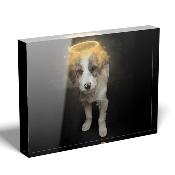 Handgemaltes Haustierportrait als Acrylblock im Halo Stil