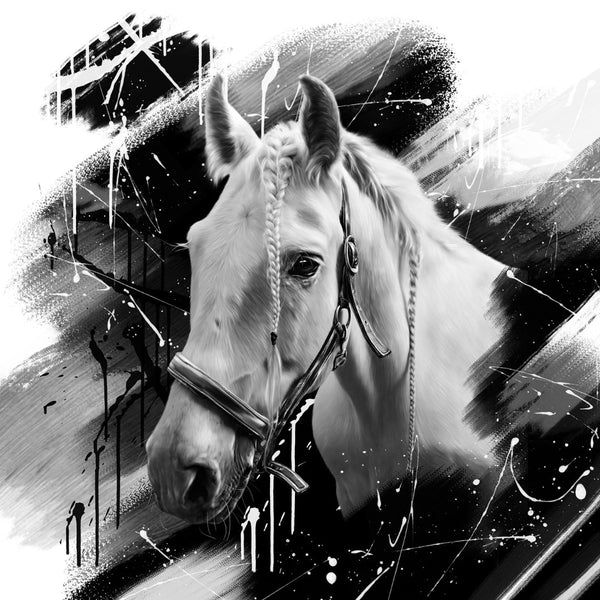 Black & White Stil