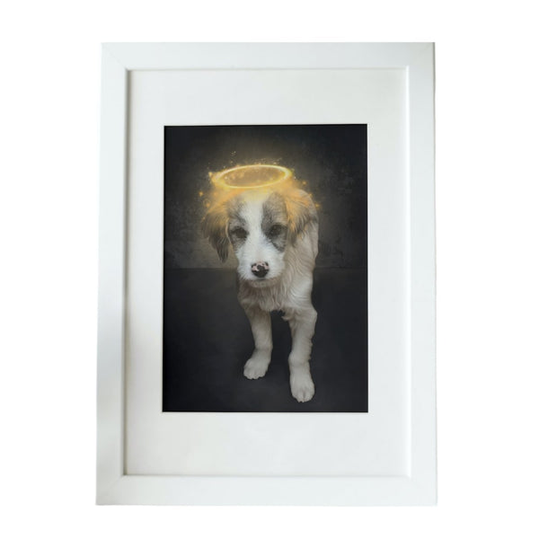 Handgemaltes Haustierportrait als Premium Fotodruck gerahmt im Halo Stil