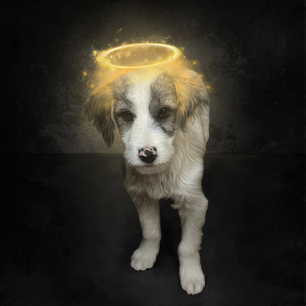 Handgemaltes Haustierportrait als Acrylblock im Halo Stil