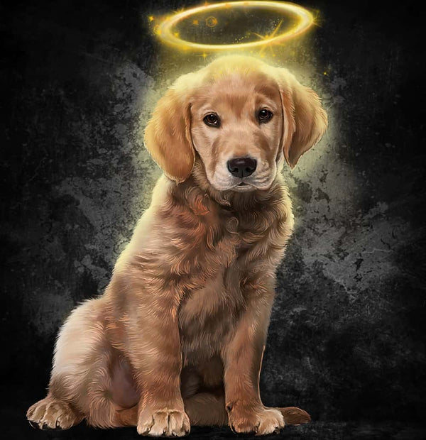 Handgemaltes Haustierportrait auf Premium Kuscheldecke im Halo Stil