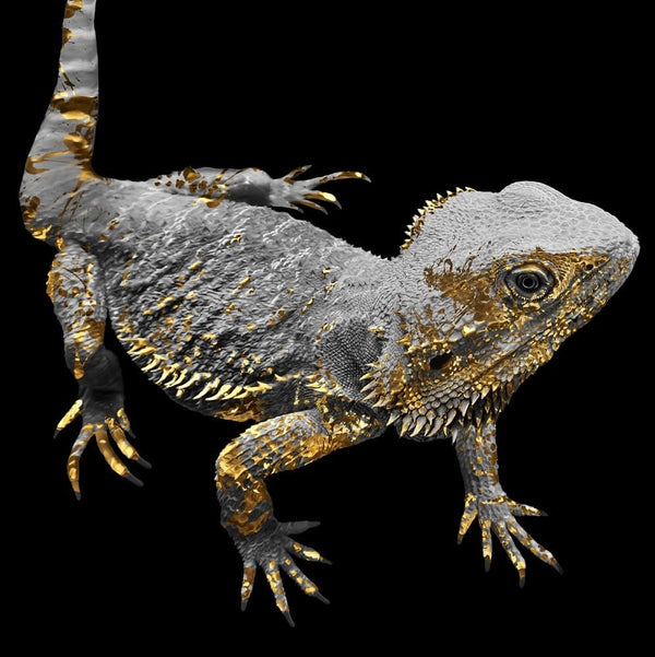 Handgemaltes Haustierportrait auf XXL-Leinwand im Gold Stil