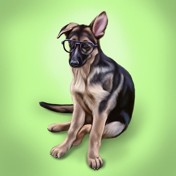 Handgemaltes Haustierportrait auf Premium Kuscheldecke im Realistischen Stil