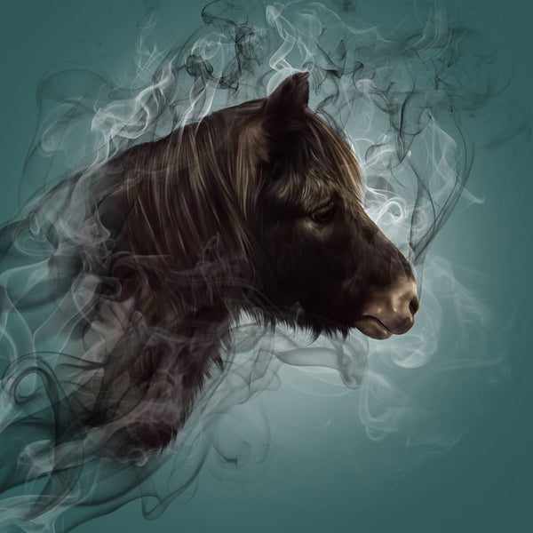 Handgemaltes Haustierportrait auf Premium Kuscheldecke im Smoke Stil