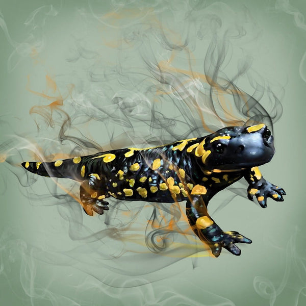 Handgemaltes Haustierportrait auf hochwertiger Tasse im Smoke Stil