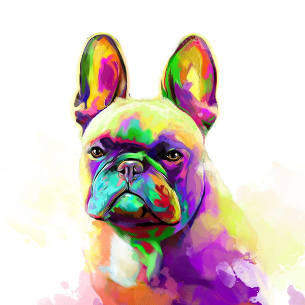 Handgemaltes Haustierportrait auf Premium Kuscheldecke im Colourful Stil