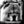 Handgemaltes Haustierportrait auf Handtuch im Black & White Stil