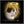 Handgemaltes Haustierportrait auf Handtuch im Halo Stil