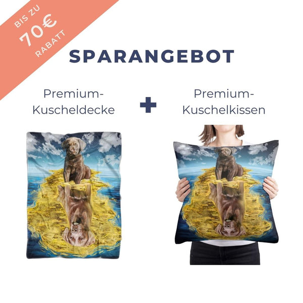 Kuschelpaket aus Decke und Kissen im Double Stil