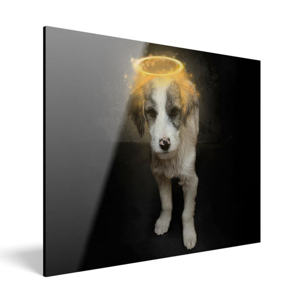 Handgemaltes Haustierportrait auf Acrylglas im Halo Stil