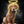 Handgemaltes Haustierportrait auf Premium Leinwand im Halo Stil