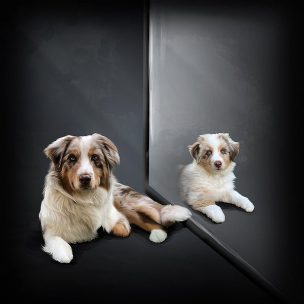 Handgemaltes Haustierportrait als Premium Fotodruck gerahmt im Spiegel Stil