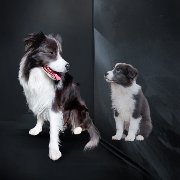 Handgemaltes Haustierportrait auf Premium Kuschelkissen im Spiegel Stil