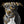 Handgemaltes Haustierportrait auf Handyhülle im Gold Stil