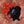 Handgemaltes Haustierportrait auf Handyhülle im Love Stil