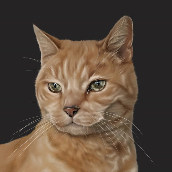 Handgemaltes Haustierportrait auf Handyhülle im Realistischen Stil
