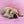 Handgemaltes Haustierportrait auf XXL-Leinwand im Realistischen Stil
