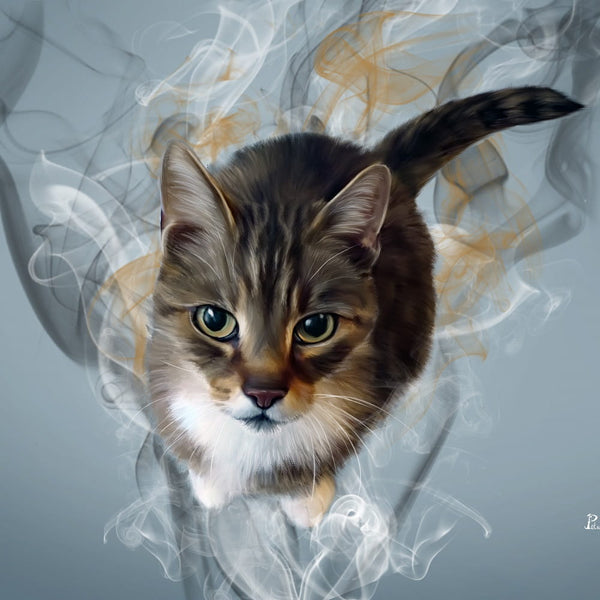 Handgemaltes Haustierportrait auf Premium Kuscheldecke im Smoke Stil